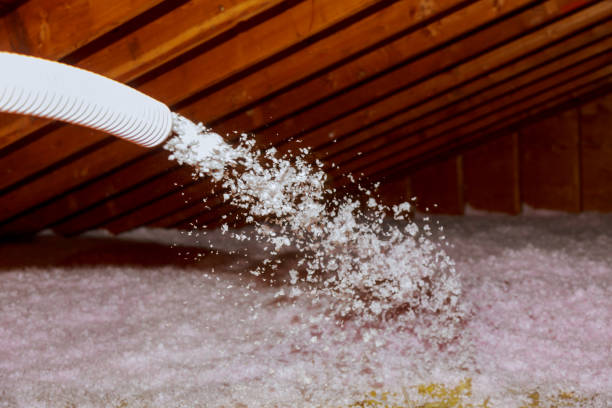 Types of Insulation We Offer in LA