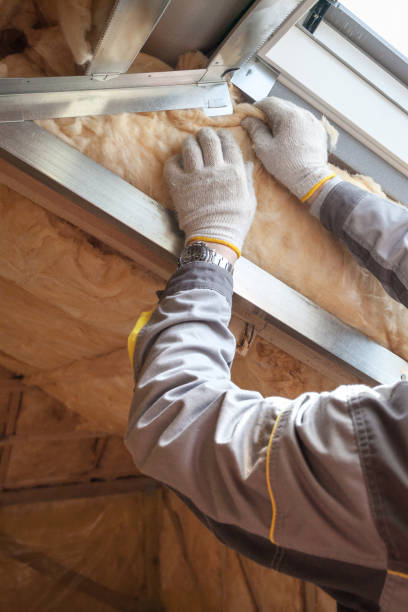 Best Commercial Insulation in Donaldsonville, LA