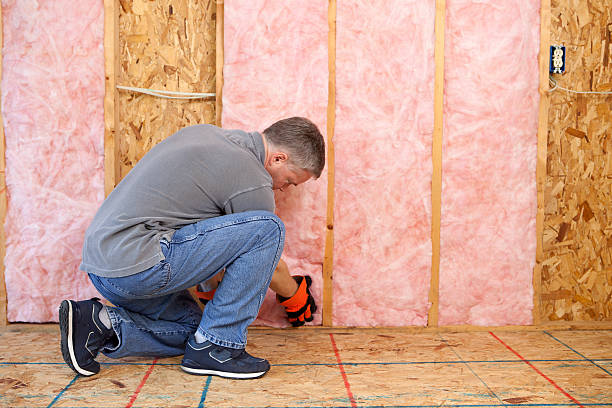 Best Types of Insulation in Donaldsonville, LA
