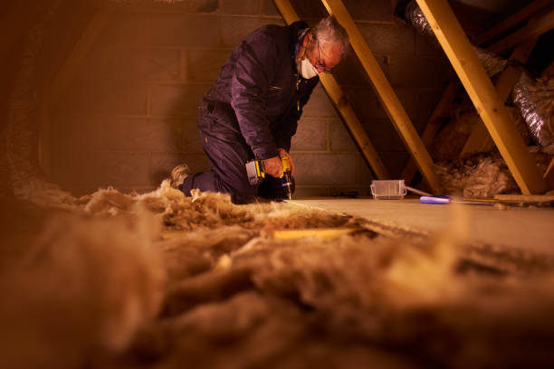 Best Insulation Maintenance and Repair in Donaldsonville, LA